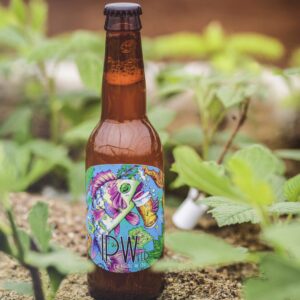 BIÈRE IPA CBD 8° - 33CL